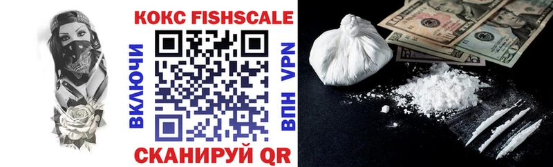 Купить закладки  Железногорск-Илимский  COCAIN Fish Scale 