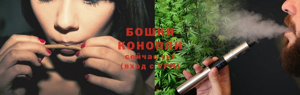 альфа пвп Каменногорск