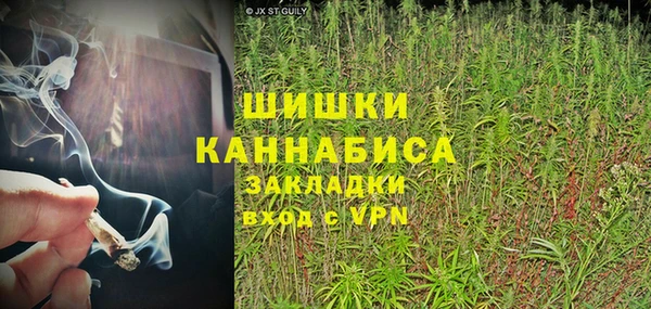 скорость Каменка